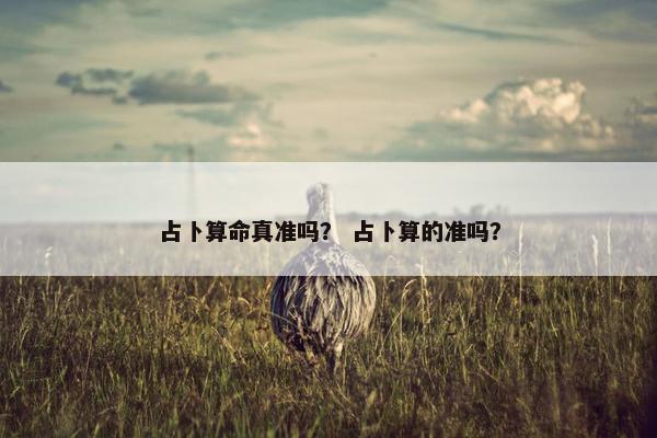占卜算命真准吗？ 占卜算的准吗？