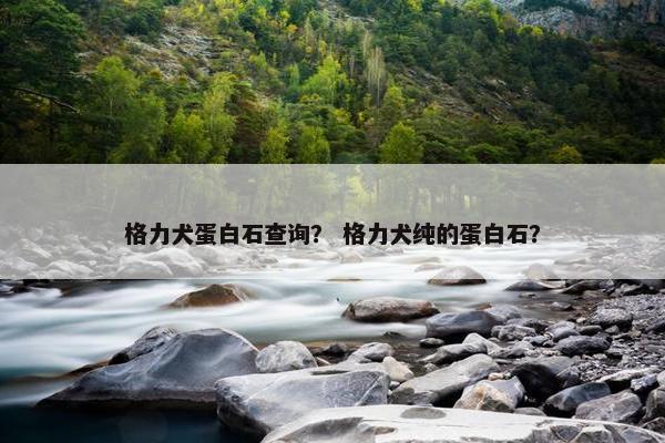 格力犬蛋白石查询？ 格力犬纯的蛋白石？