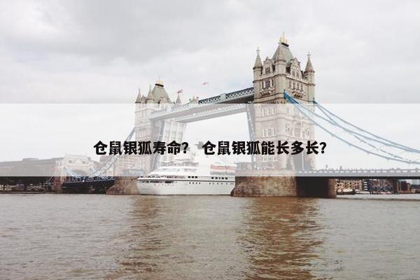 仓鼠银狐寿命？ 仓鼠银狐能长多长？