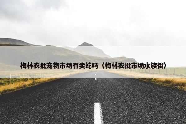 梅林农批宠物市场有卖蛇吗（梅林农批市场水族街）