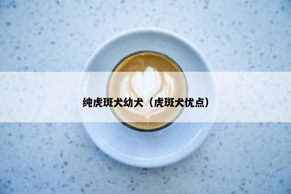 纯虎斑犬幼犬（虎斑犬优点）