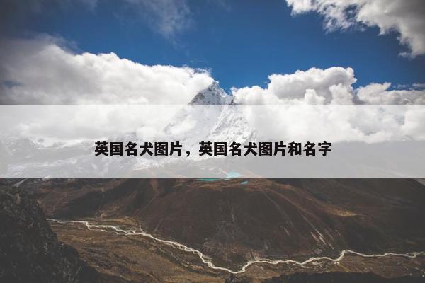 英国名犬图片，英国名犬图片和名字
