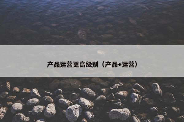 产品运营更高级别（产品+运营）