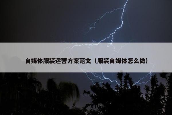 自媒体服装运营方案范文（服装自媒体怎么做）