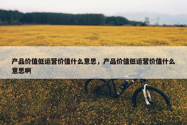 产品价值低运营价值什么意思，产品价值低运营价值什么意思啊