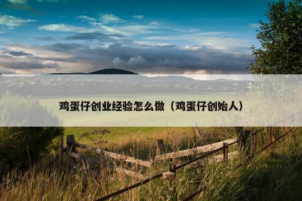 鸡蛋仔创业经验怎么做（鸡蛋仔创始人）
