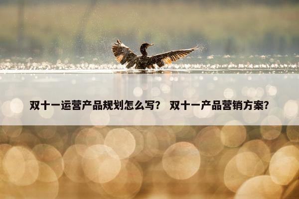 双十一运营产品规划怎么写？ 双十一产品营销方案？