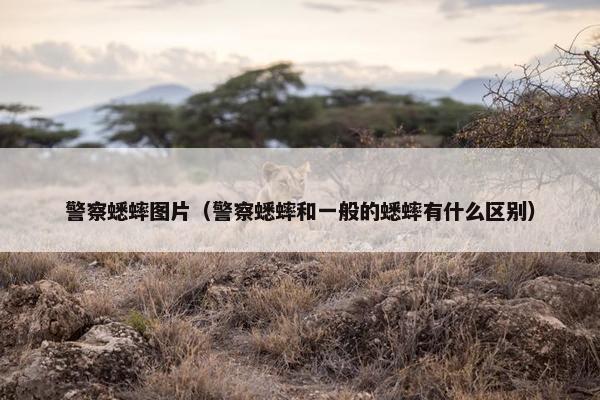 警察蟋蟀图片（警察蟋蟀和一般的蟋蟀有什么区别）