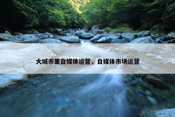 大城市里自媒体运营，自媒体市场运营