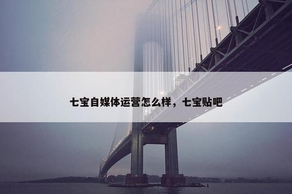七宝自媒体运营怎么样，七宝贴吧
