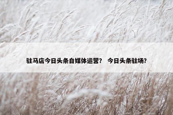 驻马店今日头条自媒体运营？ 今日头条驻场？
