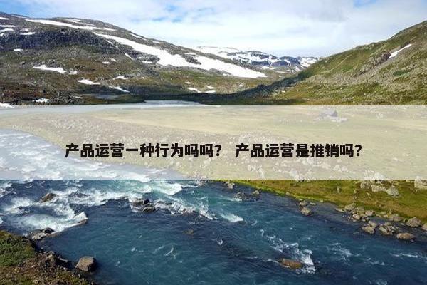 产品运营一种行为吗吗？ 产品运营是推销吗？