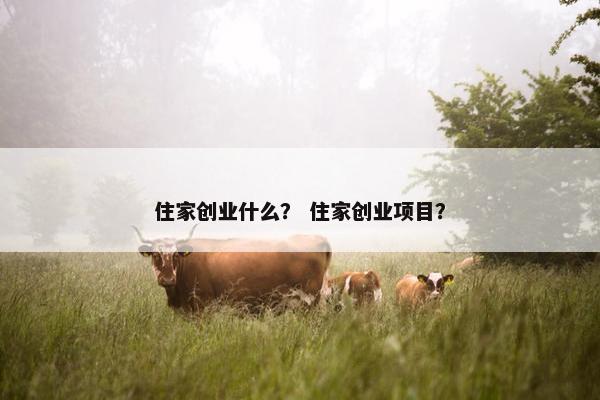 住家创业什么？ 住家创业项目？