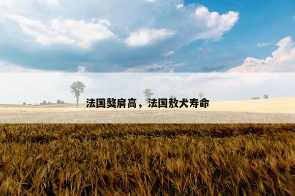 法国獒肩高，法国敖犬寿命