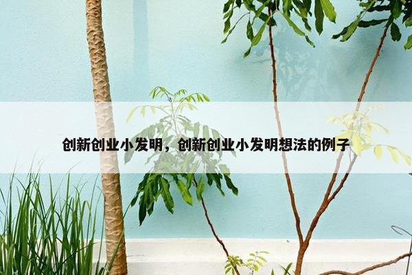 创新创业小发明，创新创业小发明想法的例子