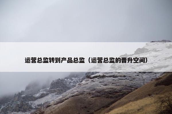 运营总监转到产品总监（运营总监的晋升空间）