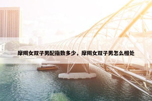 摩羯女双子男配指数多少，摩羯女双子男怎么相处