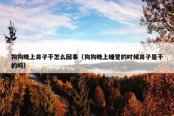 狗狗晚上鼻子干怎么回事（狗狗晚上睡觉的时候鼻子是干的吗）