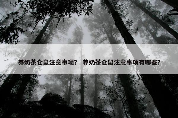 养奶茶仓鼠注意事项？ 养奶茶仓鼠注意事项有哪些？