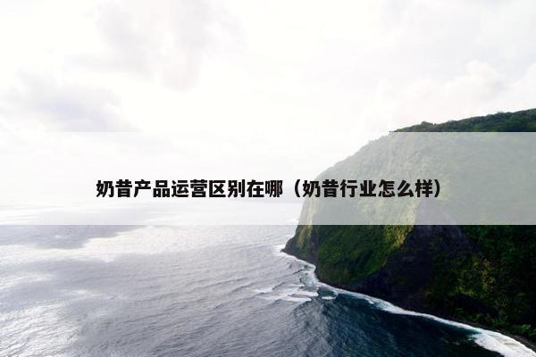 奶昔产品运营区别在哪（奶昔行业怎么样）