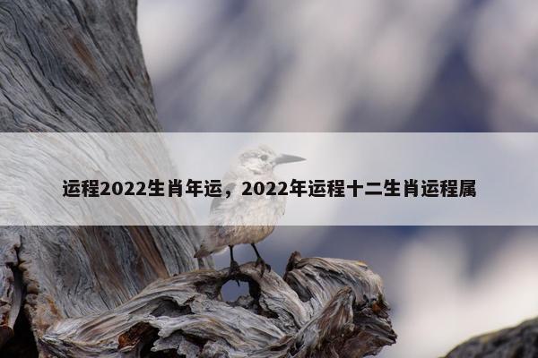 运程2022生肖年运，2022年运程十二生肖运程属