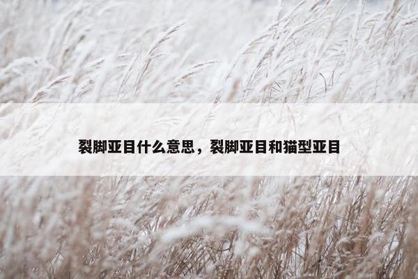 裂脚亚目什么意思，裂脚亚目和猫型亚目