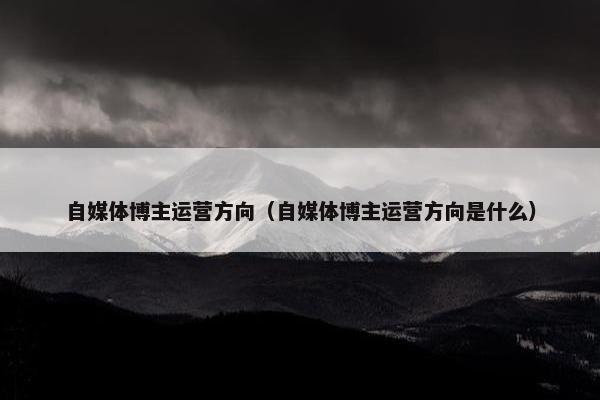 自媒体博主运营方向（自媒体博主运营方向是什么）