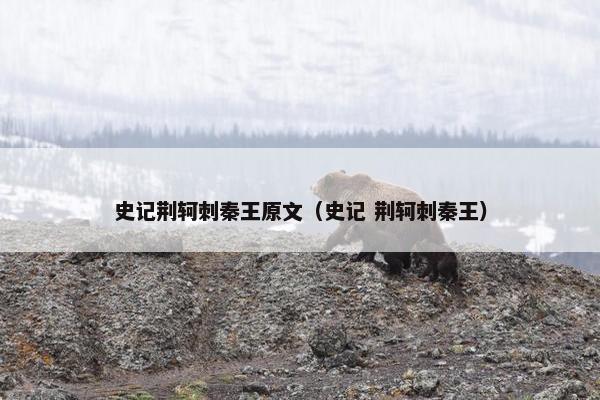 史记荆轲刺秦王原文（史记 荆轲刺秦王）