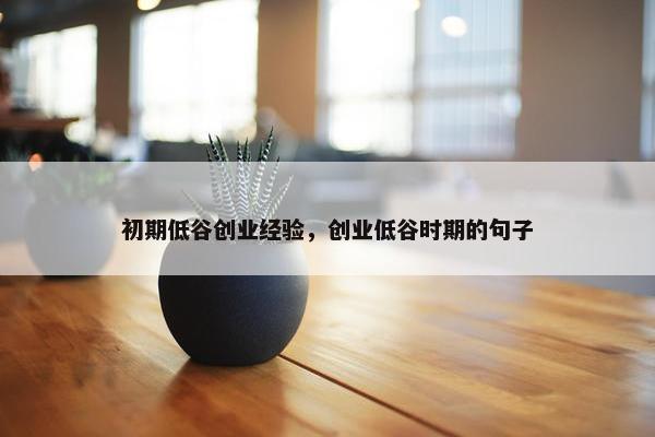 初期低谷创业经验，创业低谷时期的句子