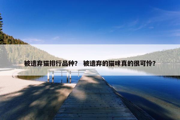 被遗弃猫排行品种？ 被遗弃的猫咪真的很可怜？