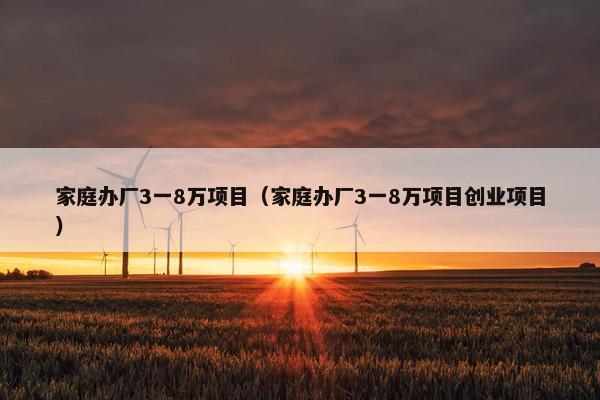 家庭办厂3一8万项目（家庭办厂3一8万项目创业项目）