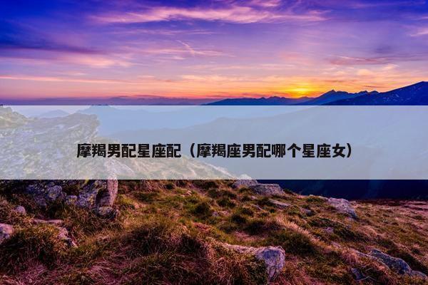 摩羯男配星座配（摩羯座男配哪个星座女）