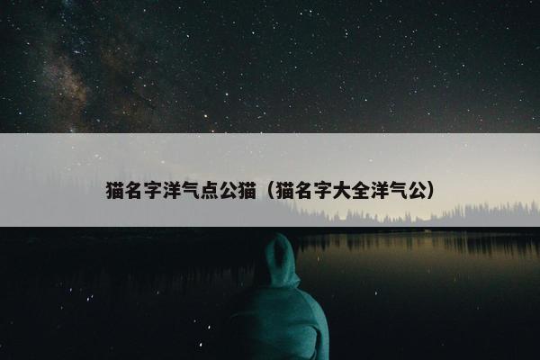 猫名字洋气点公猫（猫名字大全洋气公）