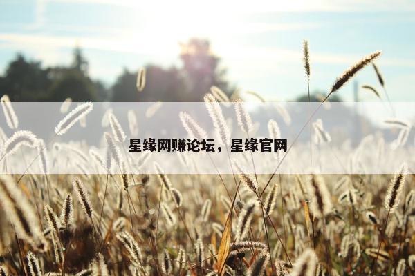 星缘网赚论坛，星缘官网