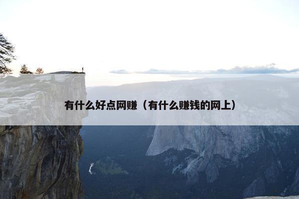 有什么好点网赚（有什么赚钱的网上）