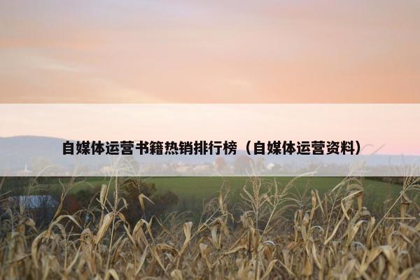 自媒体运营书籍热销排行榜（自媒体运营资料）
