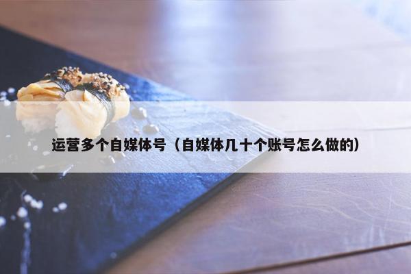 运营多个自媒体号（自媒体几十个账号怎么做的）
