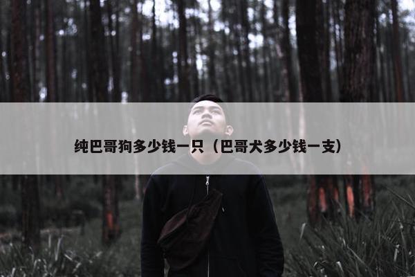 纯巴哥狗多少钱一只（巴哥犬多少钱一支）