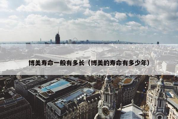 博美寿命一般有多长（博美的寿命有多少年）