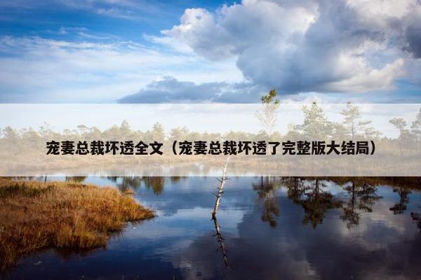 宠妻总裁坏透全文（宠妻总裁坏透了完整版大结局）