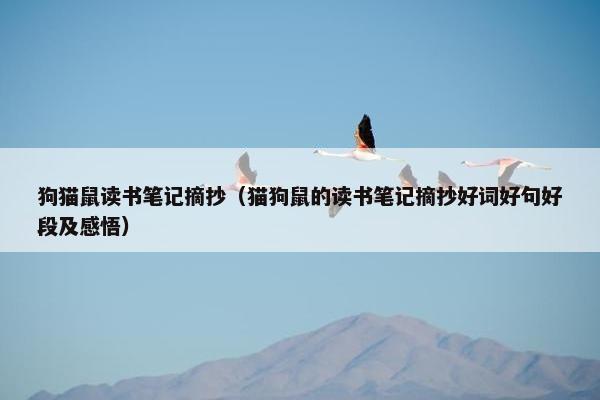 狗猫鼠读书笔记摘抄（猫狗鼠的读书笔记摘抄好词好句好段及感悟）