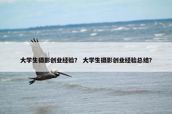 大学生摄影创业经验？ 大学生摄影创业经验总结？