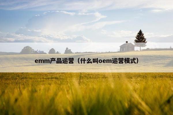 emm产品运营（什么叫oem运营模式）