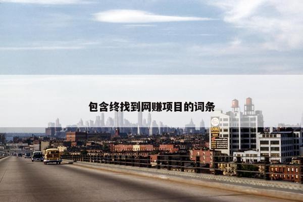 包含终找到网赚项目的词条
