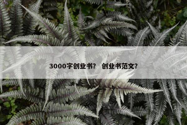 3000字创业书？ 创业书范文？