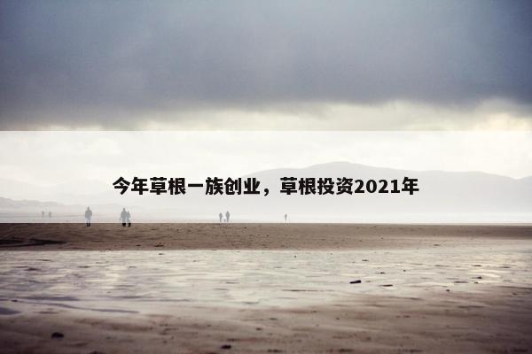 今年草根一族创业，草根投资2021年