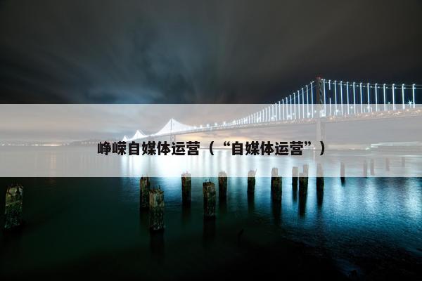 峥嵘自媒体运营（“自媒体运营”）