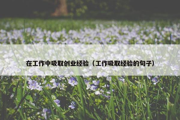 在工作中吸取创业经验（工作吸取经验的句子）