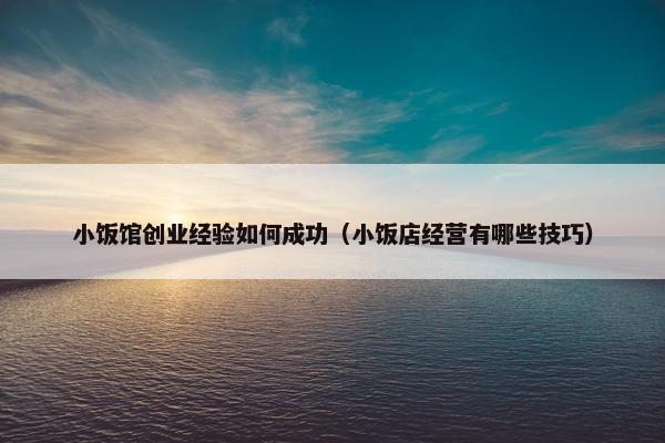小饭馆创业经验如何成功（小饭店经营有哪些技巧）