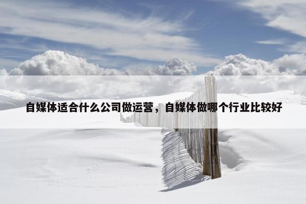 自媒体适合什么公司做运营，自媒体做哪个行业比较好
